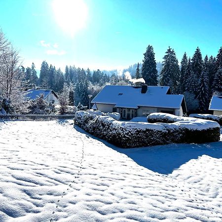 Michels Apartment Titisee-Neustadt Eksteriør bilde
