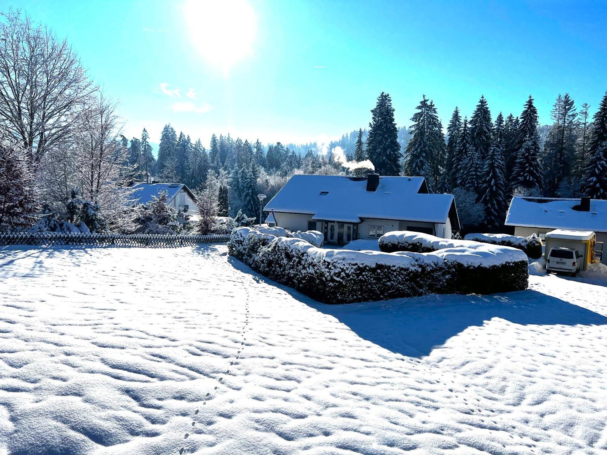 Michels Apartment Titisee-Neustadt Eksteriør bilde