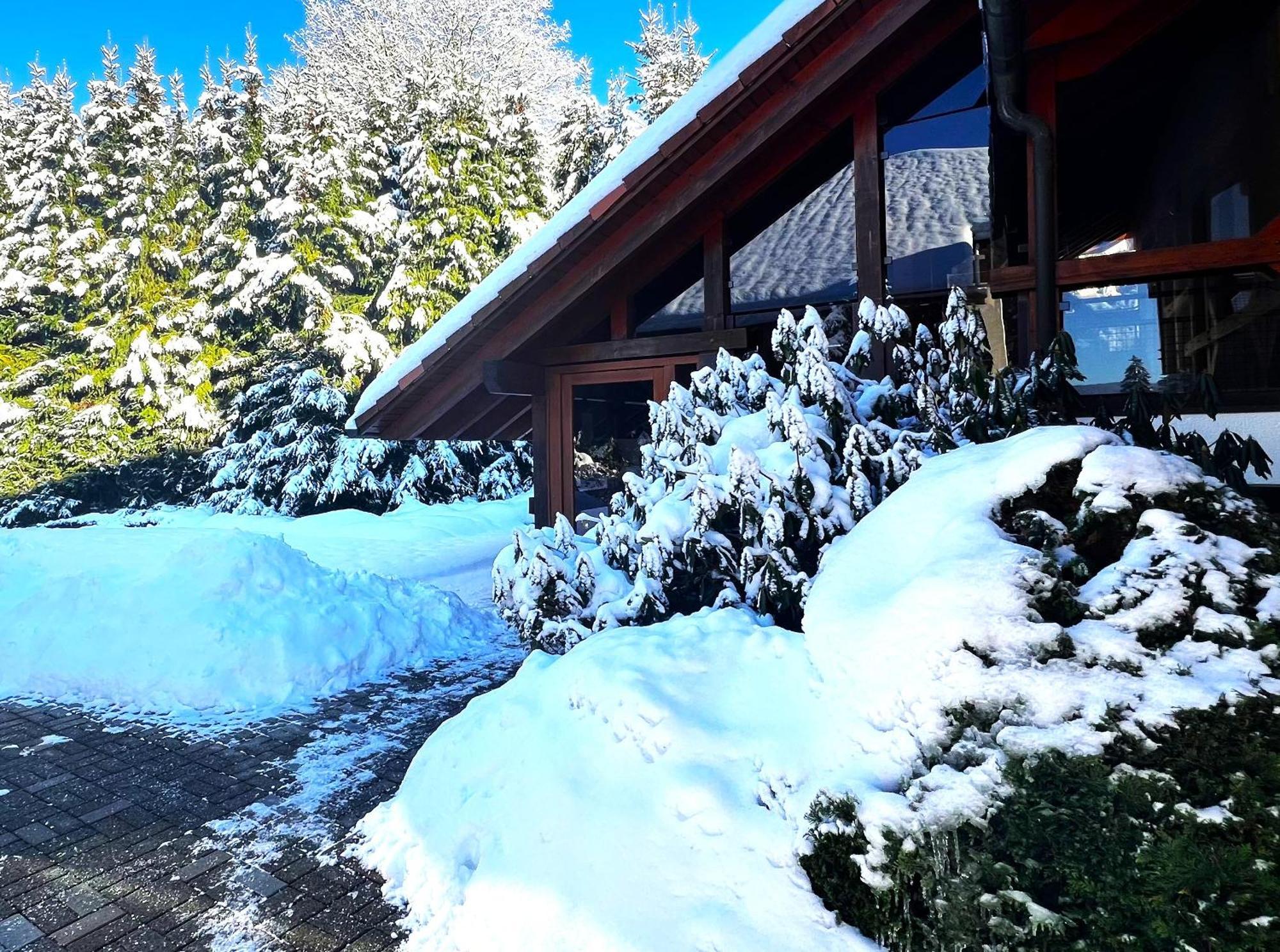 Michels Apartment Titisee-Neustadt Eksteriør bilde